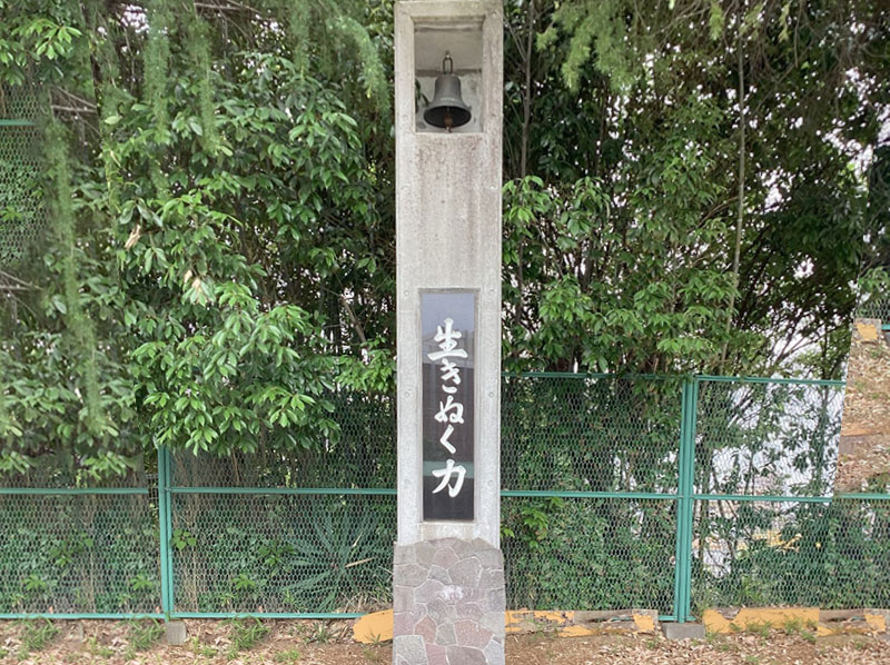 当院で受け入れている疾患